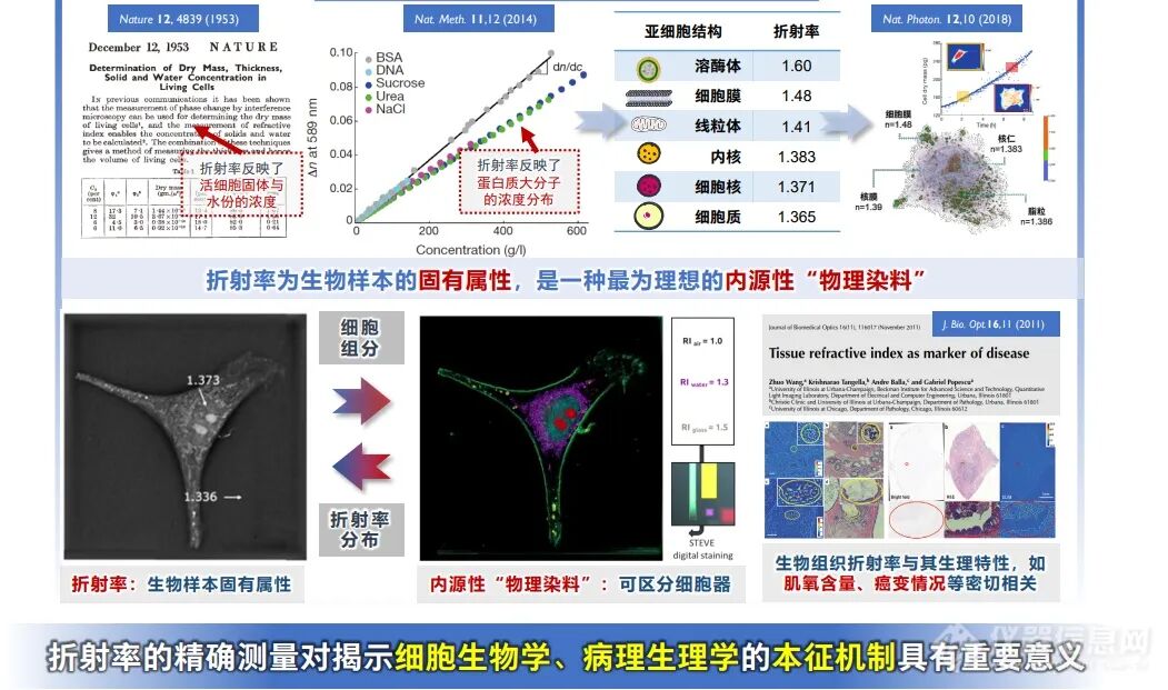 计算光学驱动的新一代显微革命：无标记光强衍射层析赋能活细胞与类器官三维成像