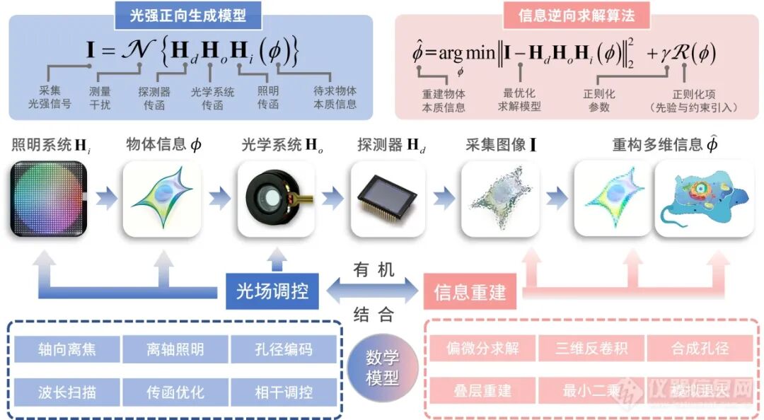 计算光学驱动的新一代显微革命：无标记光强衍射层析赋能活细胞与类器官三维成像