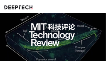 【深科技 DeepTech】开创活细胞动态成像应用新场景，南京理工团队提出无需干涉及染色的三维层析显微成像技术