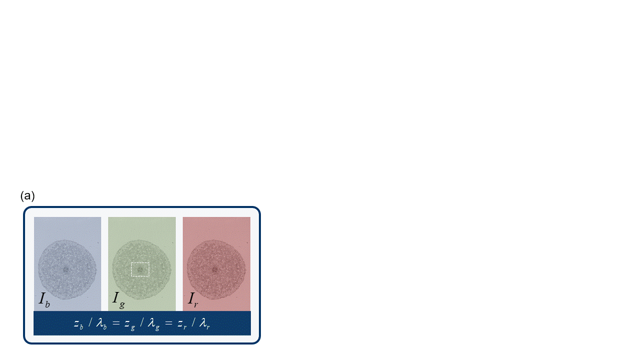 9（新）.gif