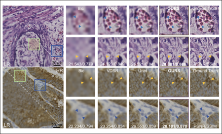 mnggiflab-compressed-图片2.gif
